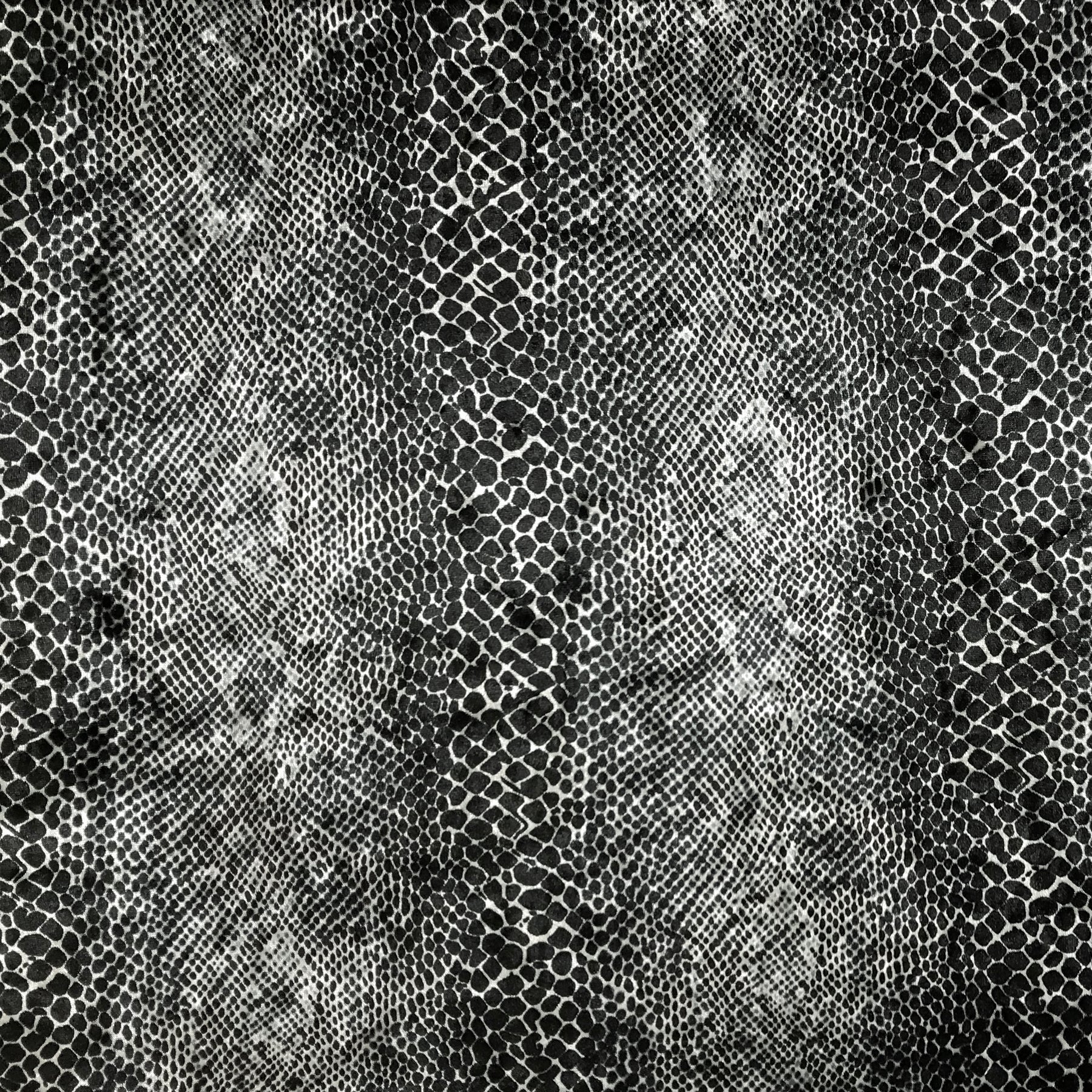 Snake Animal Print Stretch Velvet - Sold by the yard – Elotex Fabric